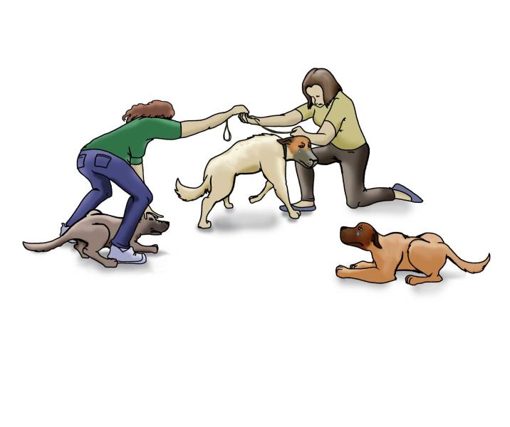 Rescue Dog's Journey-Page 9