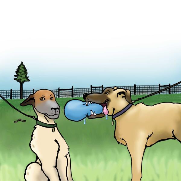 Rescue Dog's Journey-Page 14